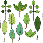 MG真人狮王狼群版-MG真人官方手机版APP下载安装IOS安卓入口