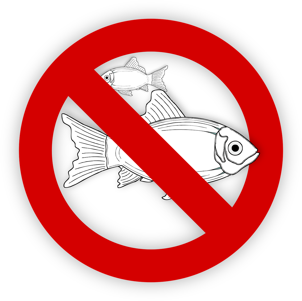 pixabay-995050-100.png